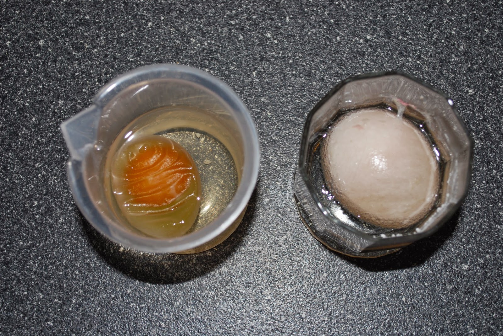 Nitty Gritty Science Eggmosis Teaching Selectively Permeable