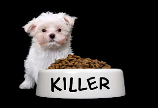 How to Stop Dog Food Aggression How to Stop Dog Food Aggression