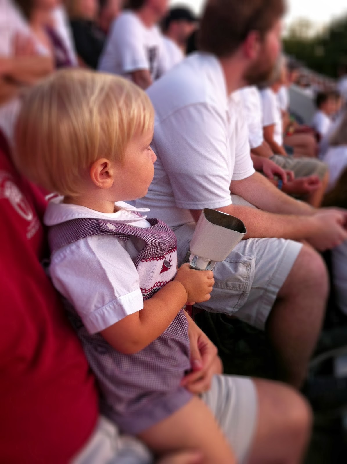 The Wilder Side of Life Homemade Chest Rub