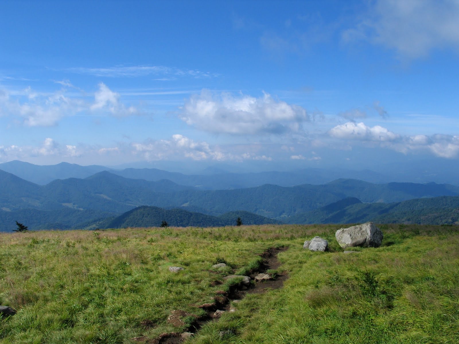 The Hikemasters' Trail Descriptions Roan Highlands, PisgahCherokee National Forest, North Carolina