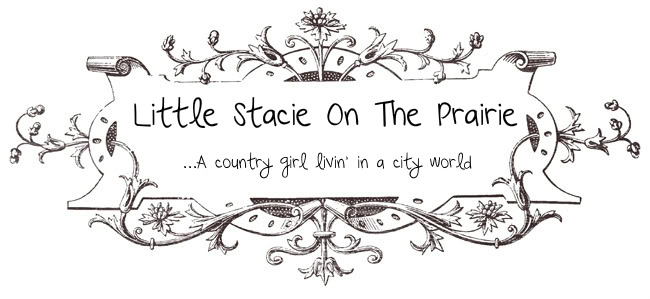 Little Stacie On The Prairie