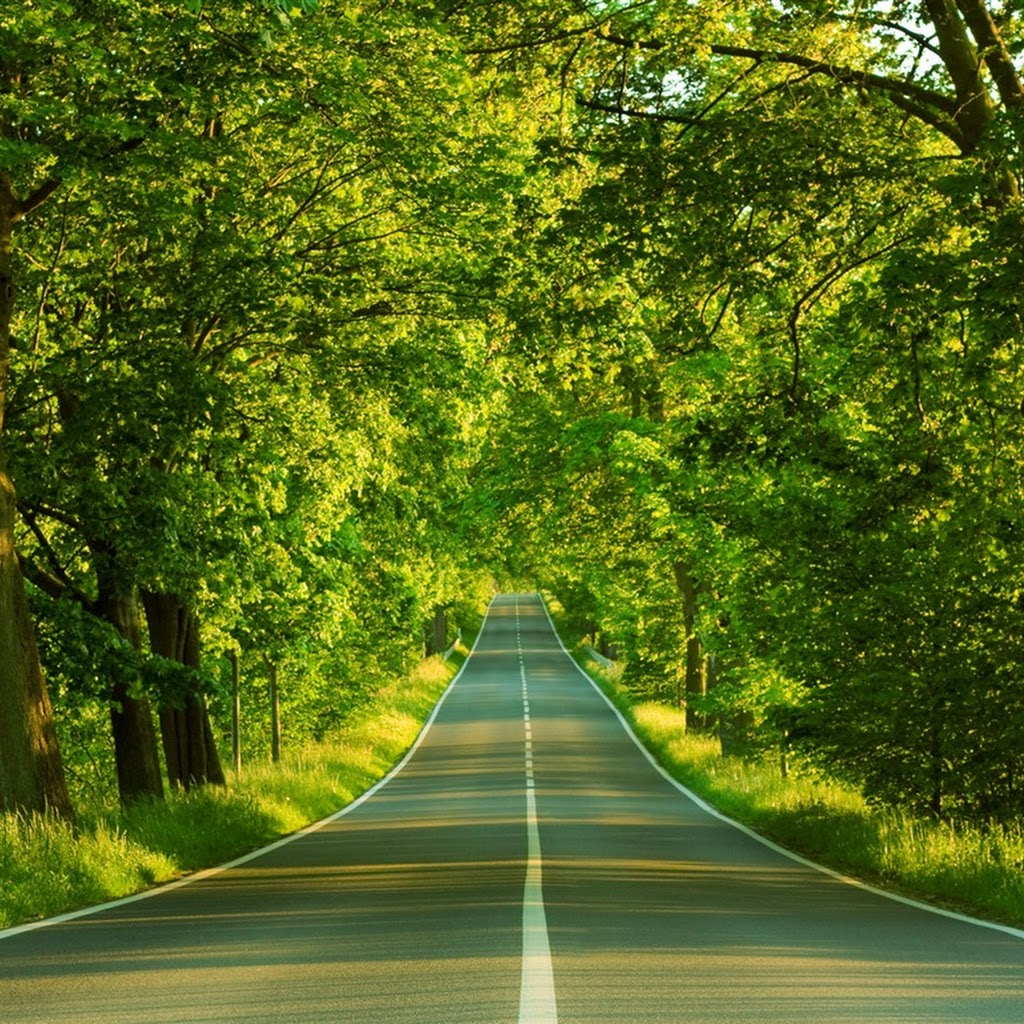 Nature Wallpaper Hd Nature Wallpaper Hd