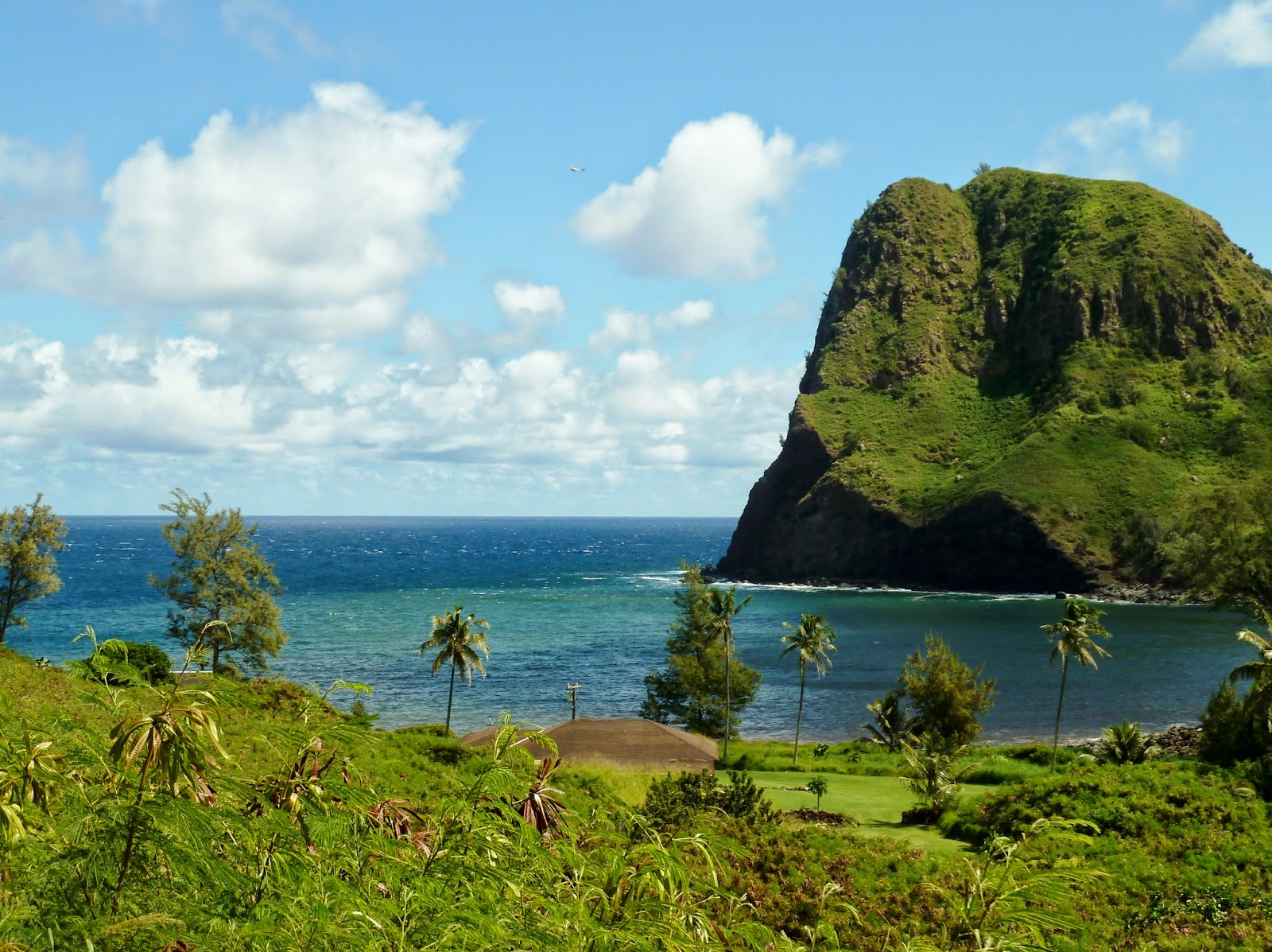 Travel Bug: TOP 7 sights on Maui