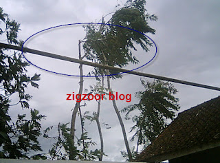 Pohon suren yang tumbang Akhirnya terjadi juga