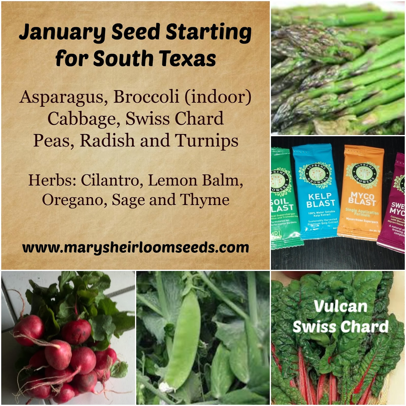 Back to the Basics! 2014 Planting Guide January Seed Planting in