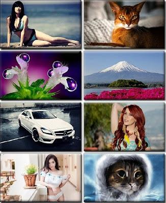 Computer Desktop Wallpapers Collection 686