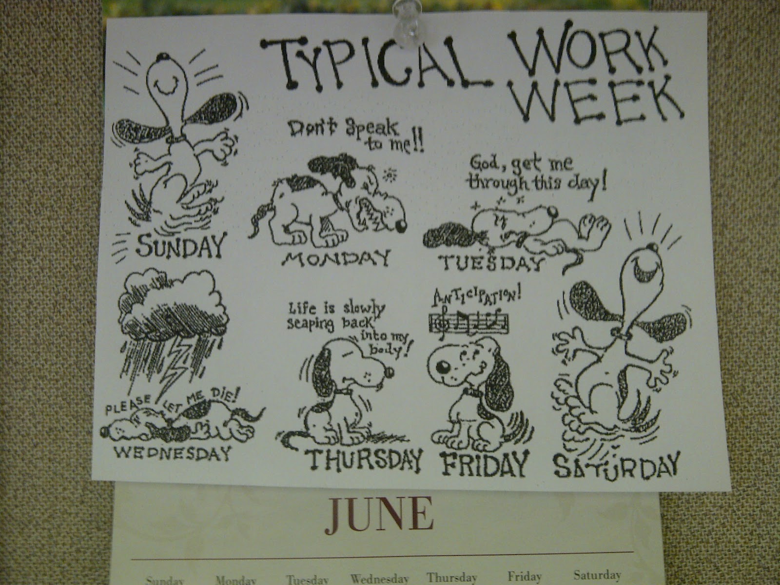 typical working week typical working week