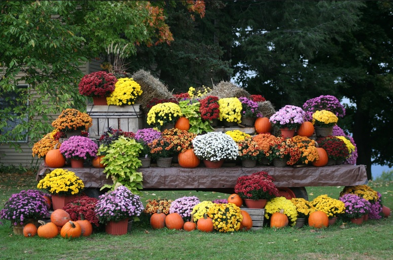 FOCAL POINT STYLING 10 Things To Do In September