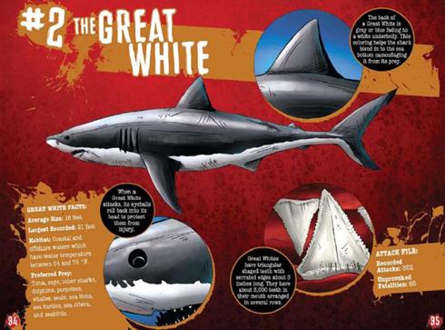 comic pictures of sharks comic pictures of sharks
