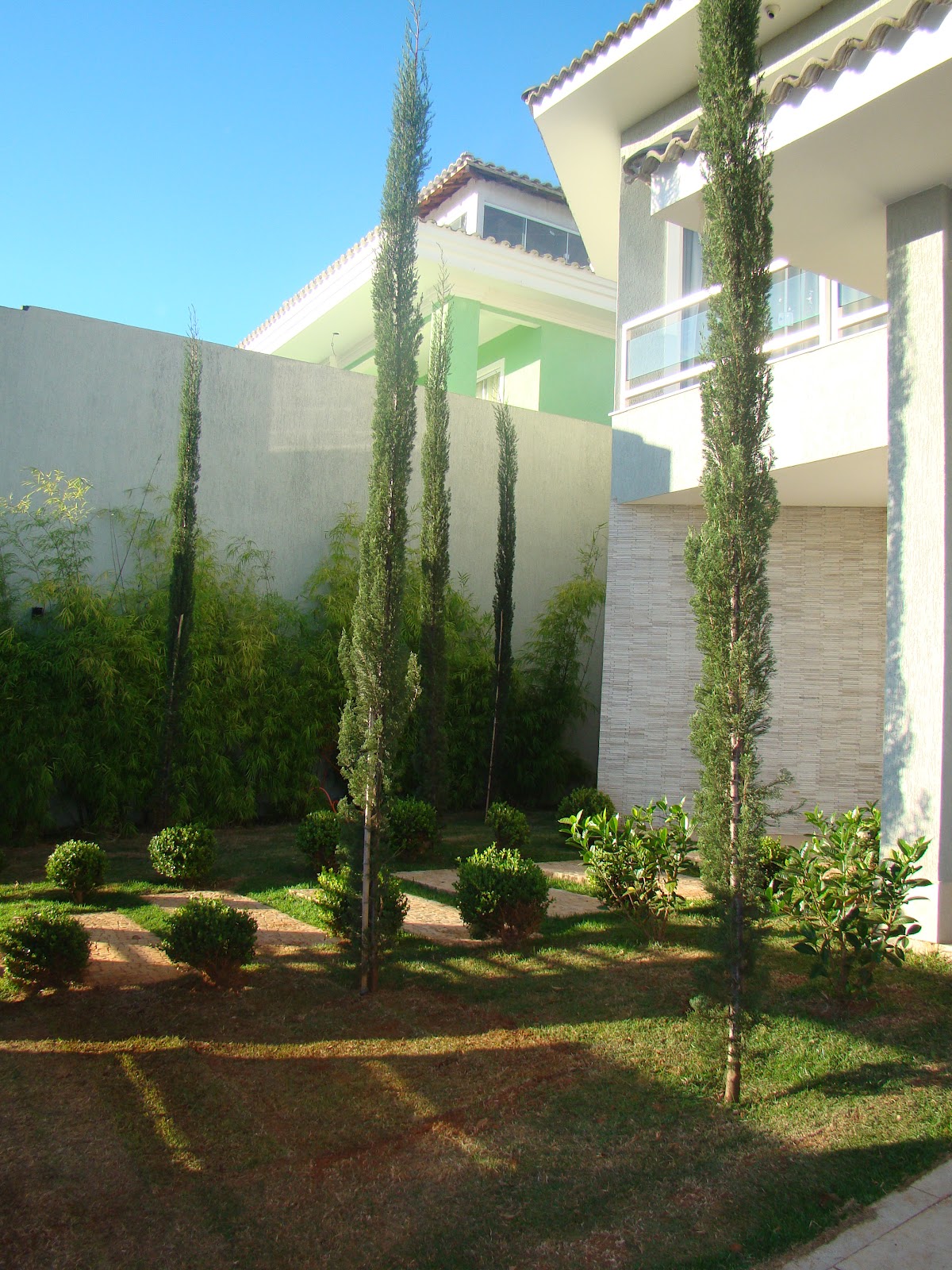 Casa & Flores Jardim Escolha as plantas certas! Casa & Flores Jardim Escolha as plantas certas!