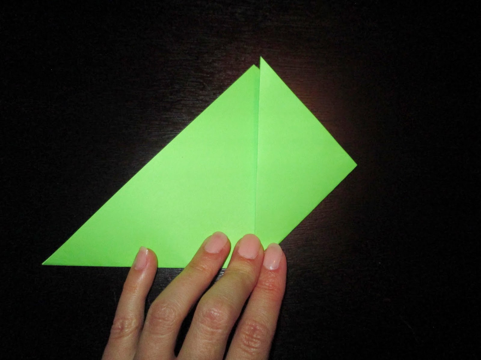 Home is where the Harp is. Harry Potter Book Corners