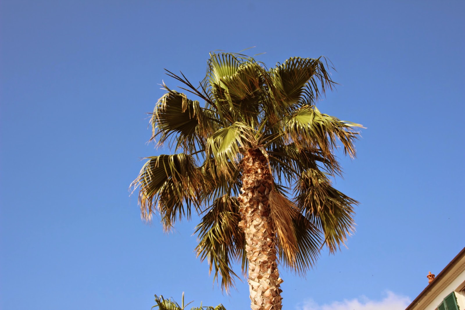 www.italiaansebloemenriviera.nl Last minute campings, last minute hotels, last minute B&B, last minute agriturismo, last minute vakantiehuizen Italië, last minute vakantiehuis bloemenrivièra, vakantiehuizen bloemenrivièra, vakantiehuizen Ligurië, vakantiewoningen bloemenrivièra, vakantiehuis huren Italië, vakantieappartementen Italië, accommodatie bloemenrivièra, vakantiehuizen bloemenrivièra Italië, autovakantie bloemenrivièra, huisje bloemenrivièra, huis huren Italië bloemenrivièra, bloemenrivièra bungalow, vakantiehuizen Ligurië, vakantievilla bloemenrivièra, vakantiehuisje bloemenrivièra, vakantie bloemenrivièra 2015, vakantiehuis Ligurië, bloemenrivièra Agriturismo, bloemenrivièra vakantiepark, vakantie bloemenrivièra, bloemenrivièra Italië, vakantiehuis Italië, vakantiewoning bloemenrivièra www.italiaansebloemenriviera.nl Last minute campings, last minute hotels, last minute B&B, last minute agriturismo, last minute vakantiehuizen Italië, last minute vakantiehuis bloemenrivièra, vakantiehuizen bloemenrivièra, vakantiehuizen Ligurië, vakantiewoningen bloemenrivièra, vakantiehuis huren Italië, vakantieappartementen Italië, accommodatie bloemenrivièra, vakantiehuizen bloemenrivièra Italië, autovakantie bloemenrivièra, huisje bloemenrivièra, huis huren Italië bloemenrivièra, bloemenrivièra bungalow, vakantiehuizen Ligurië, vakantievilla bloemenrivièra, vakantiehuisje bloemenrivièra, vakantie bloemenrivièra 2015, vakantiehuis Ligurië, bloemenrivièra Agriturismo, bloemenrivièra vakantiepark, vakantie bloemenrivièra, bloemenrivièra Italië, vakantiehuis Italië, vakantiewoning bloemenrivièra