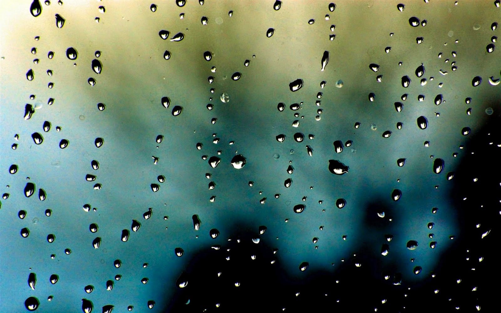 Wallpaper for Android Wallpaper for Android