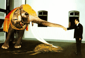 Thailand <a href="http://vionm.com/things-to-do-in-bangkok-thailand/thailandhoneymoon-go-on-the-phuket-beach-inward-thailand/">Beaches</a>: White Elephant Inwards The Forest