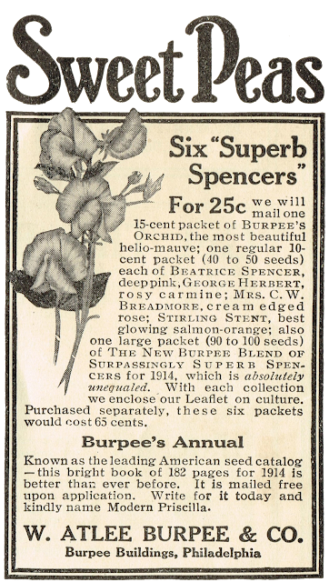 Seed-Advertisement-Royalty-Free-Antique-Graphics-Printables