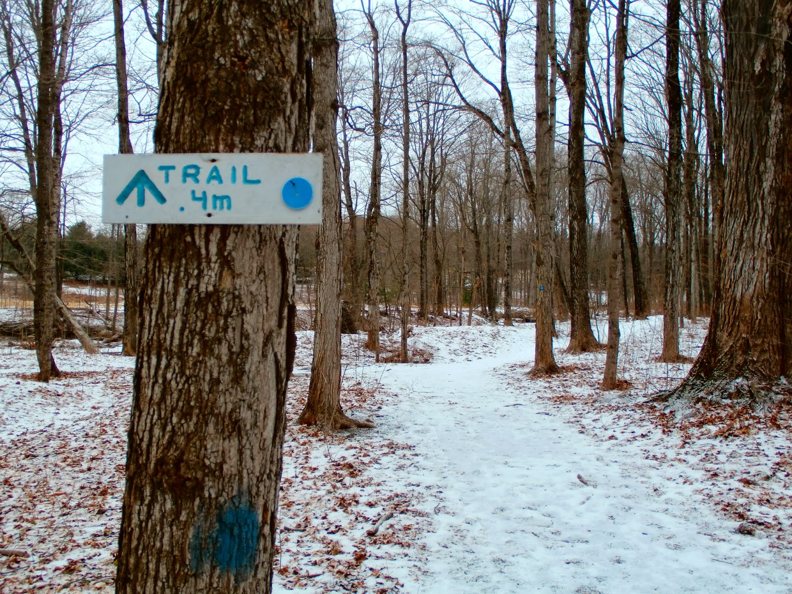 Walking Man 24 7 Short Walk at Schodack Town Park