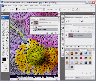 adobe photoshop for mac umich