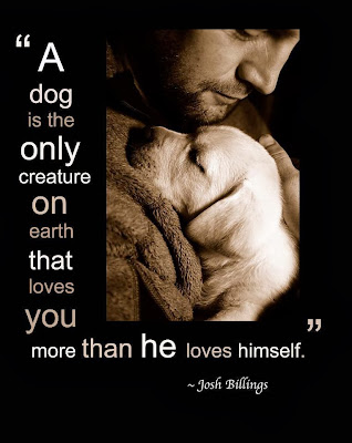 Photo With Love Quotes (A dog is the only creature ..)