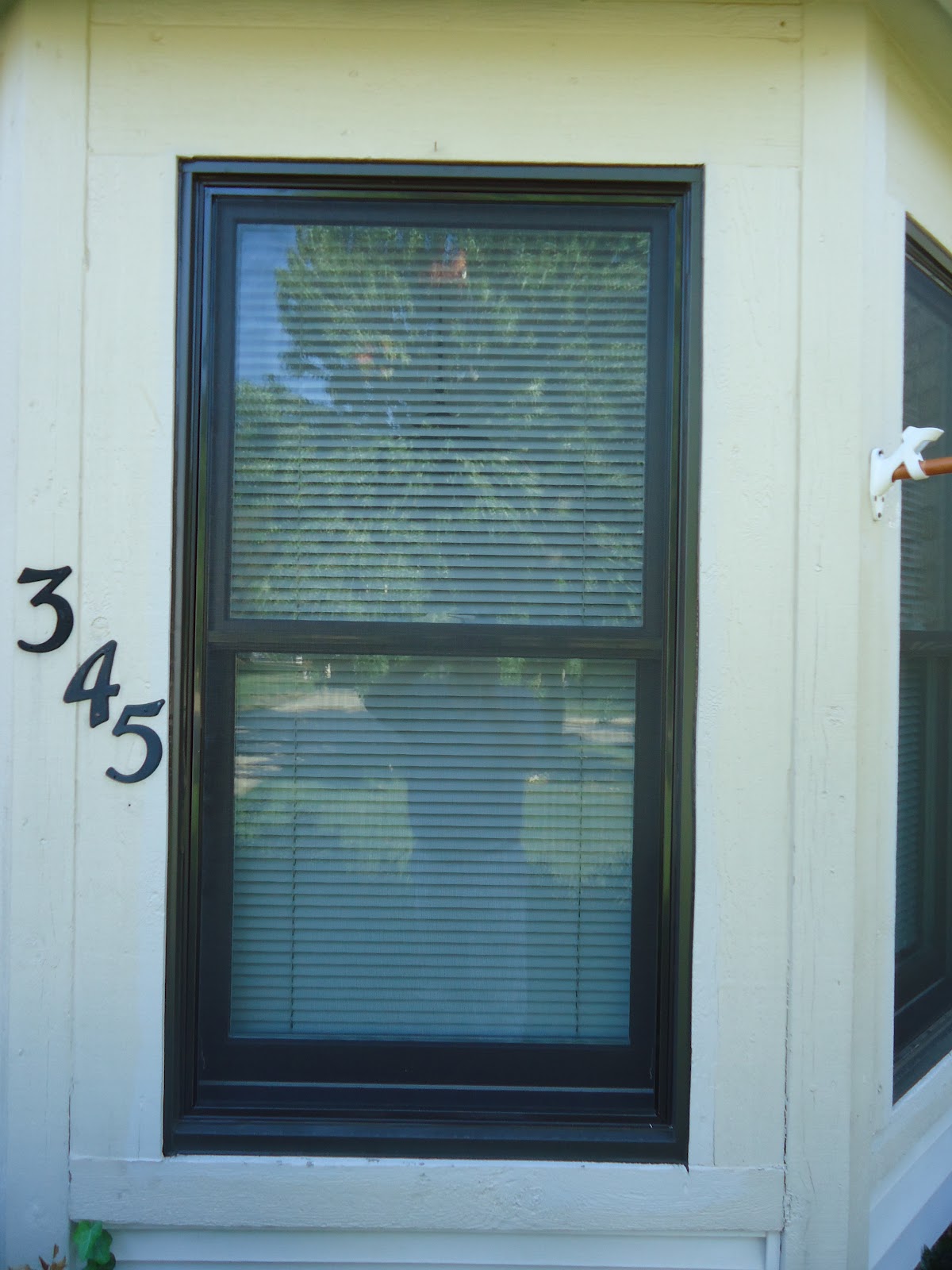 dallasbeewindow Our Bronze Color Double Hung