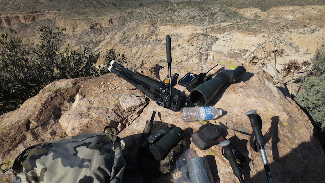 Desert+Bighorn+Sheep+Hunting+Pictures+with+Jay+Scott+Outdoors+8.JPG