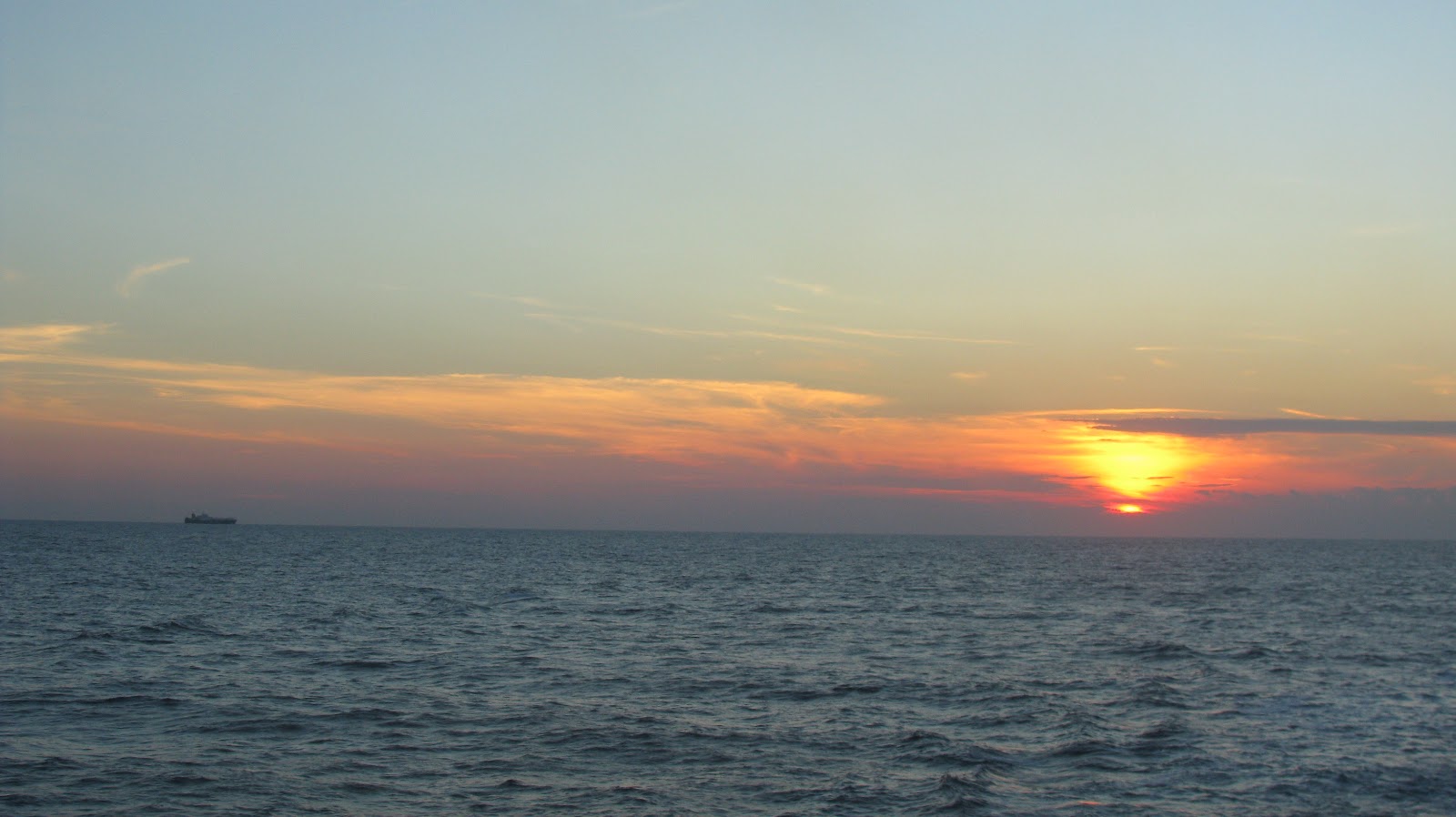 IMG_3377.JPG