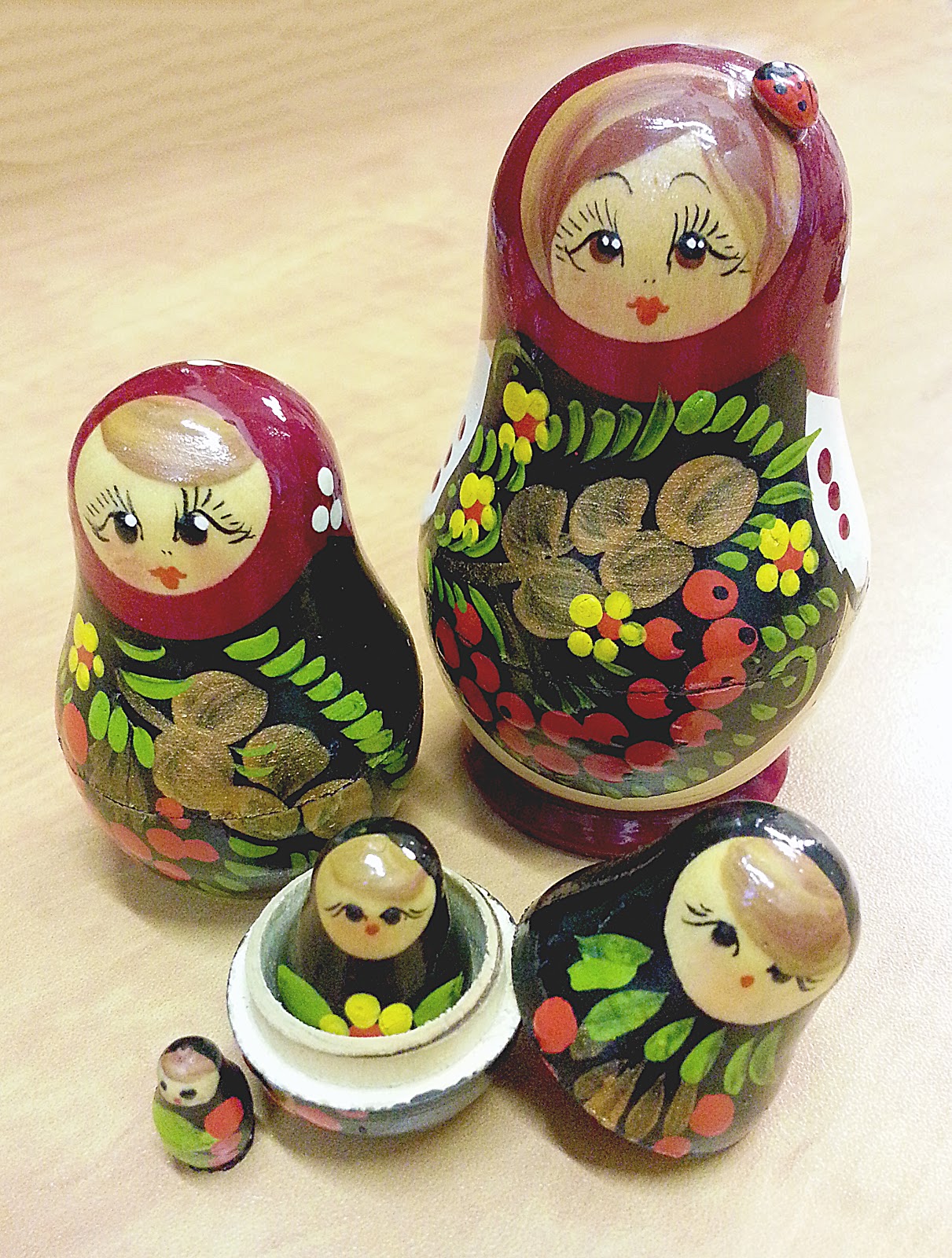 Upper Elementary Montessori Zoology Advanced Classification NAMC