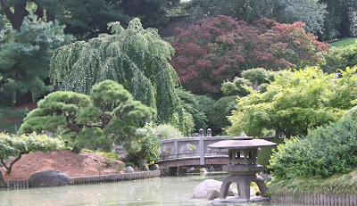 Our Garden Journal: Musings: Japanese Garden.... or Not