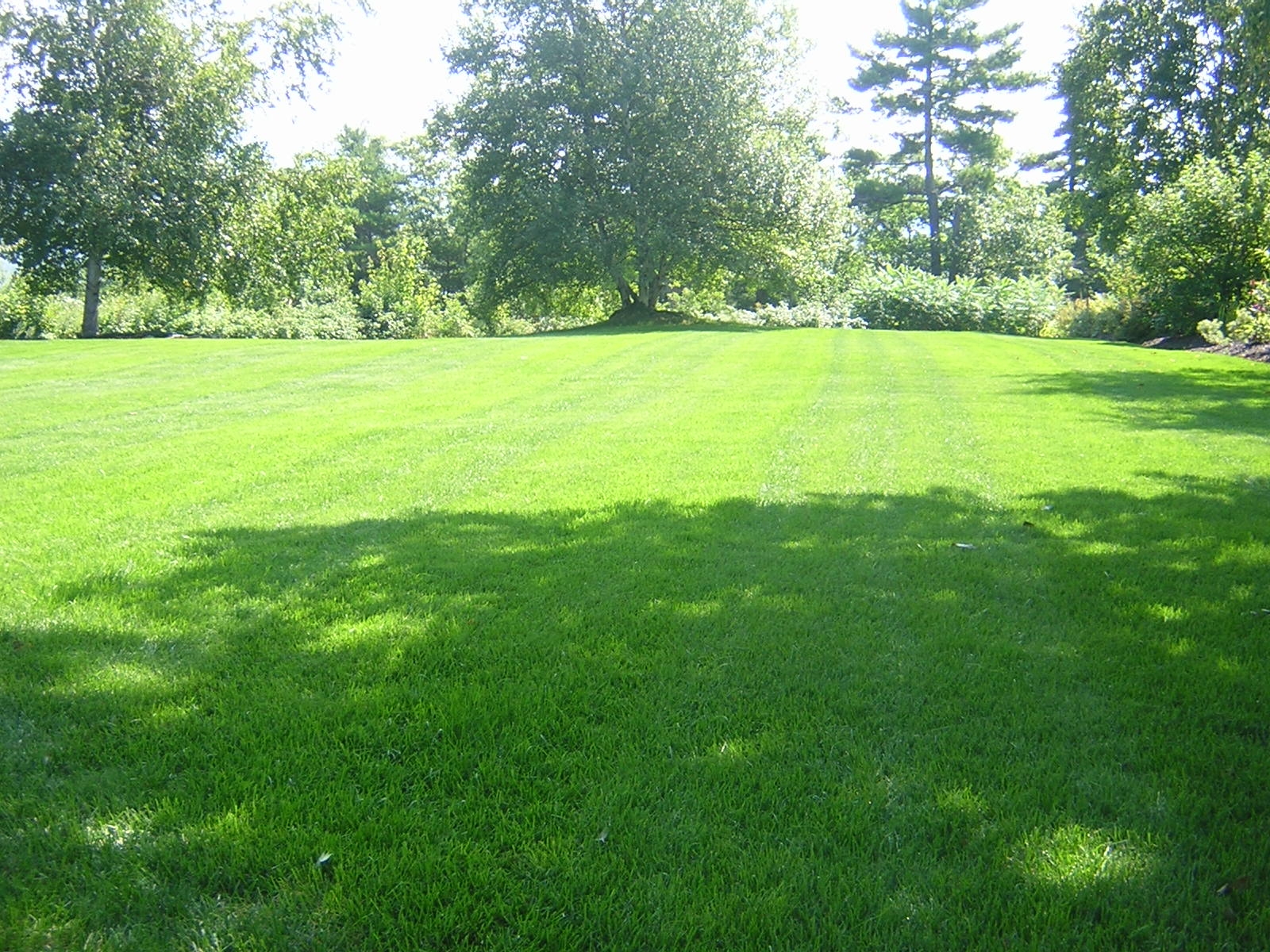 Wichita Country Club Golf Course Management Lawn Care Tips