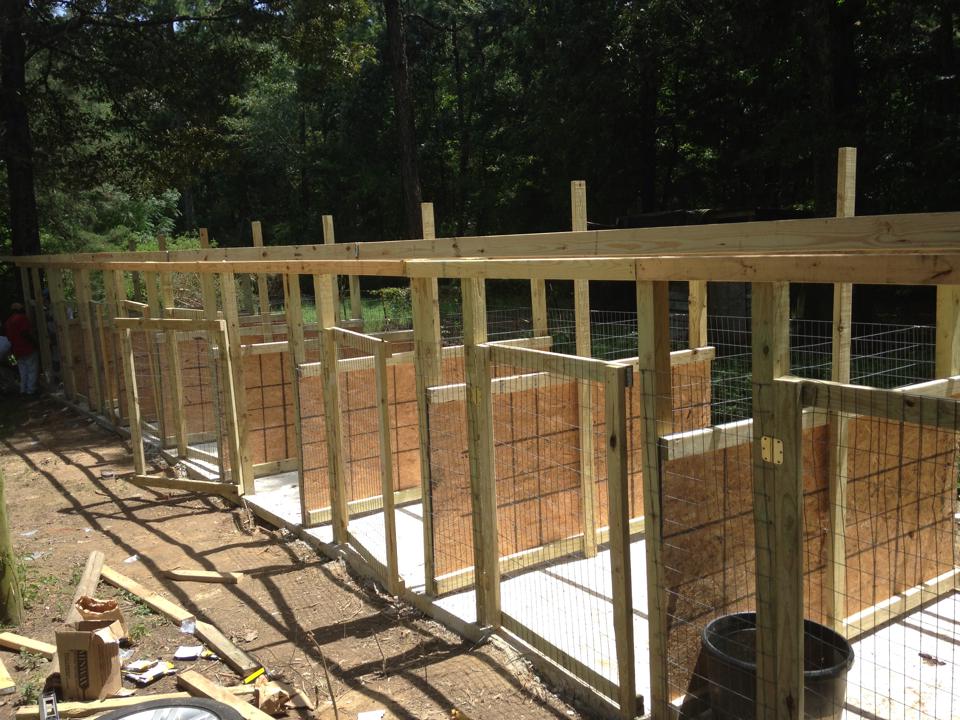 The Real APBT Dog Kennel Setups and Designs