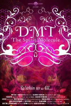 DMT: The Spirit Molecule (2010) DMT: The Spirit Molecule (2010)