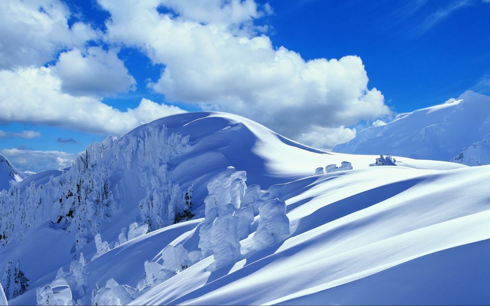 http://4.bp.blogspot.com/-drZcC1lgA7Y/TyxAWJFJJSI/AAAAAAAAK_0/3wI1TdSlRZg/s1600/Wallpapers%2BIarna%2B%252813%2529.jpg