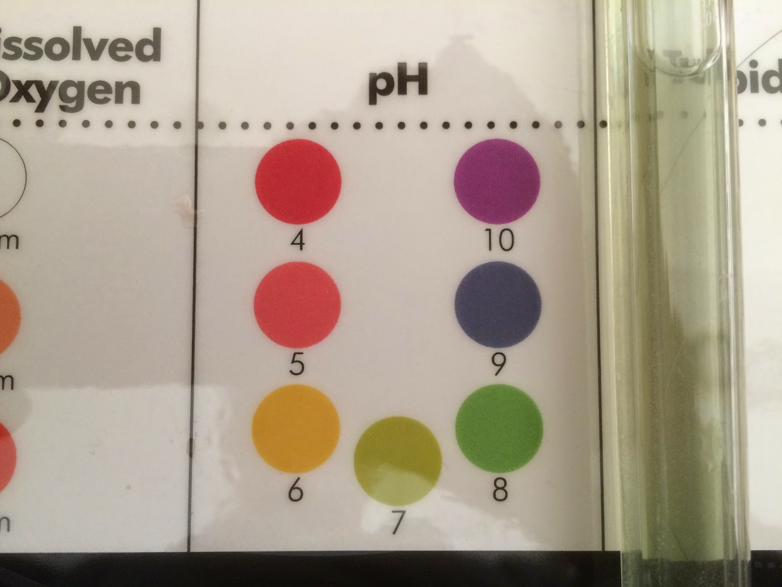 pH Comparison of Liquid Color to Chart Colors
