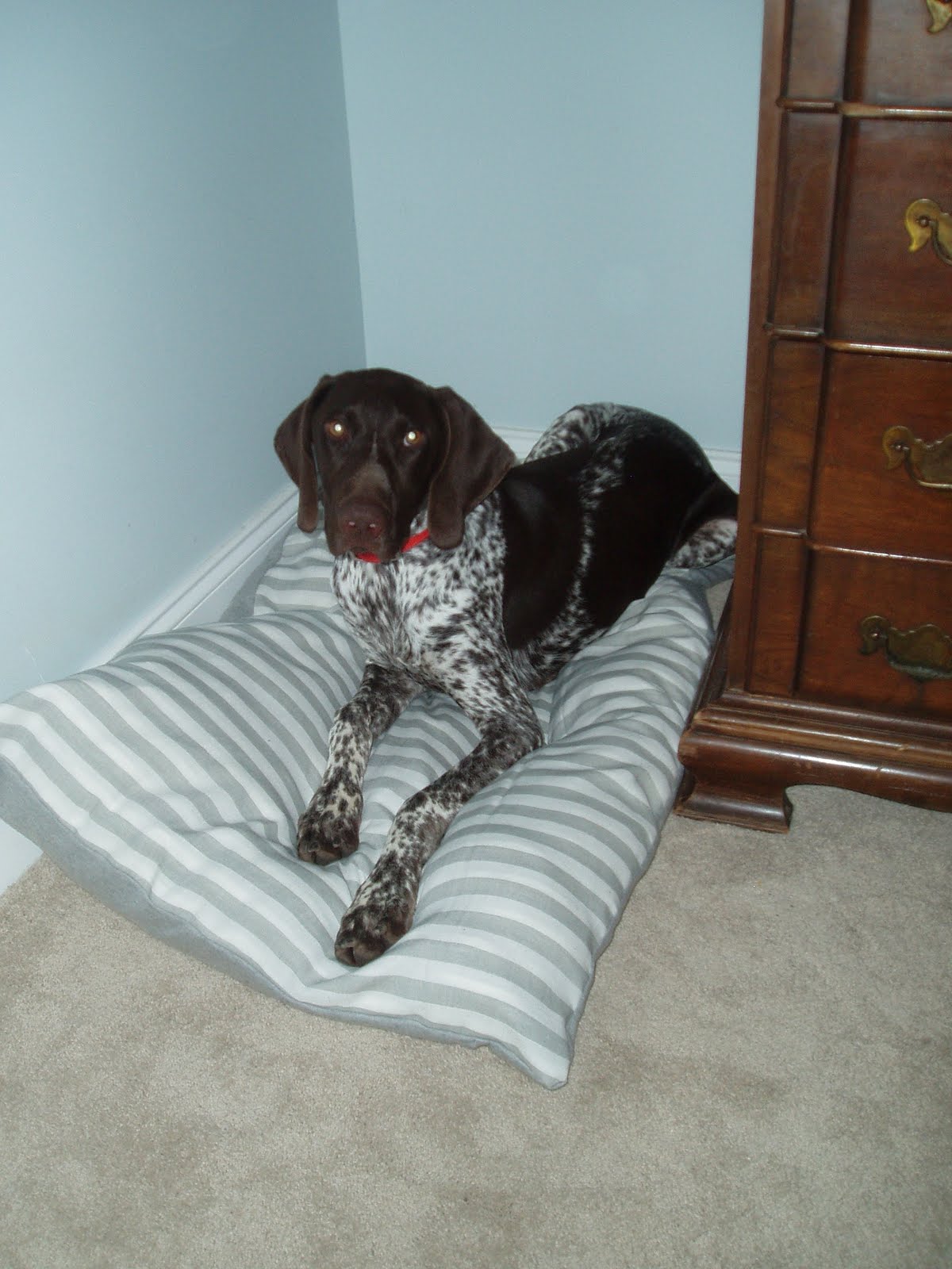 owen's olivia Simple Pillowcase Dog Bed {Tutorial}