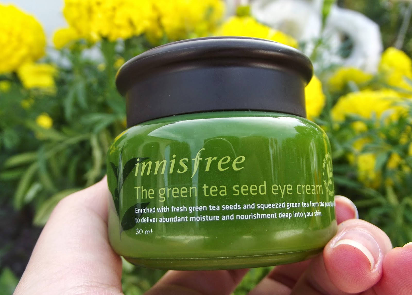 Innisfree Green Tea Seed Eye Cream // REVIEW L U C K Y B U N N I E
