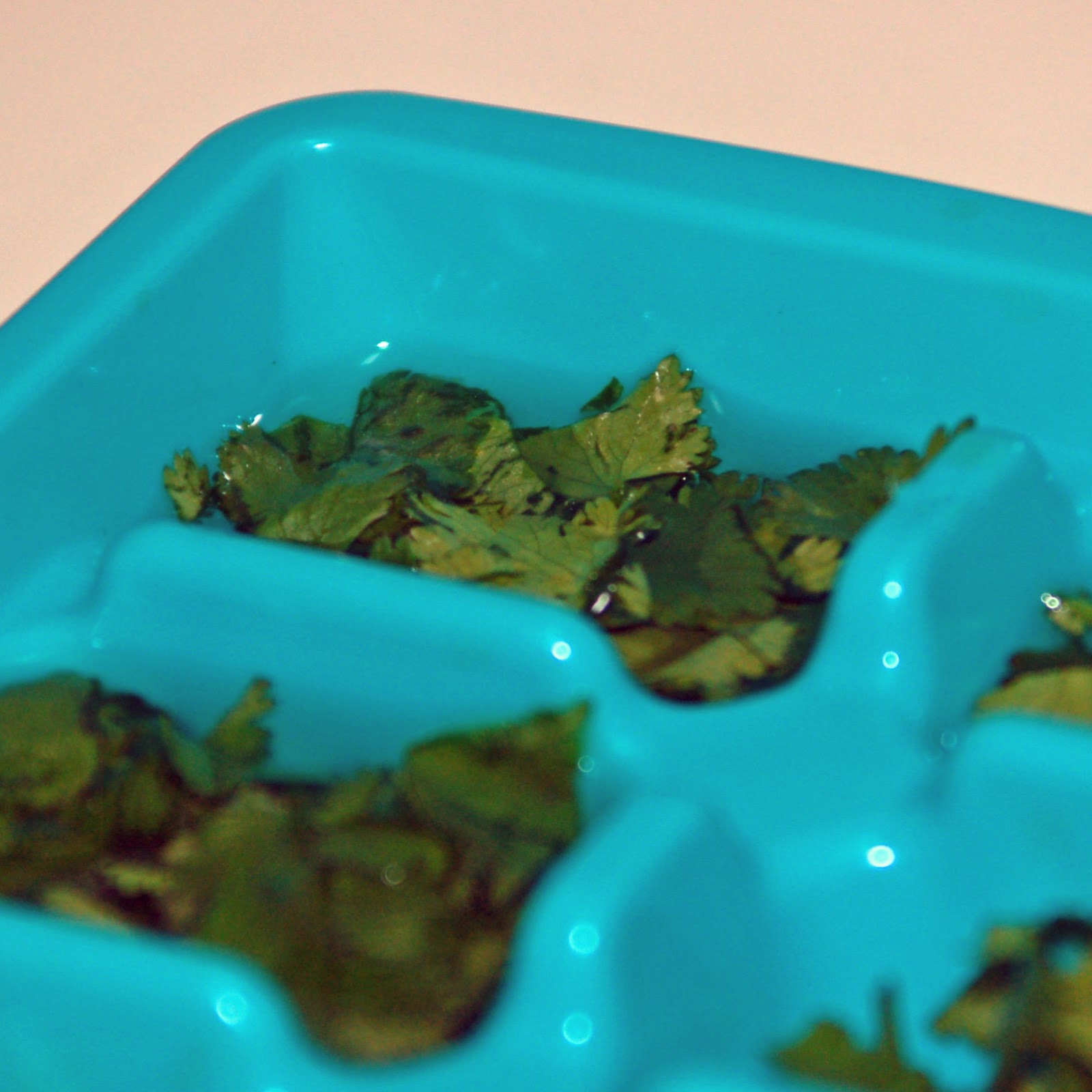 How to Freeze Fresh Herbs Ice Cube Tray Method Recipe No Utensil Unused