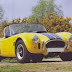 1983-94 AC Cobra MK.IV