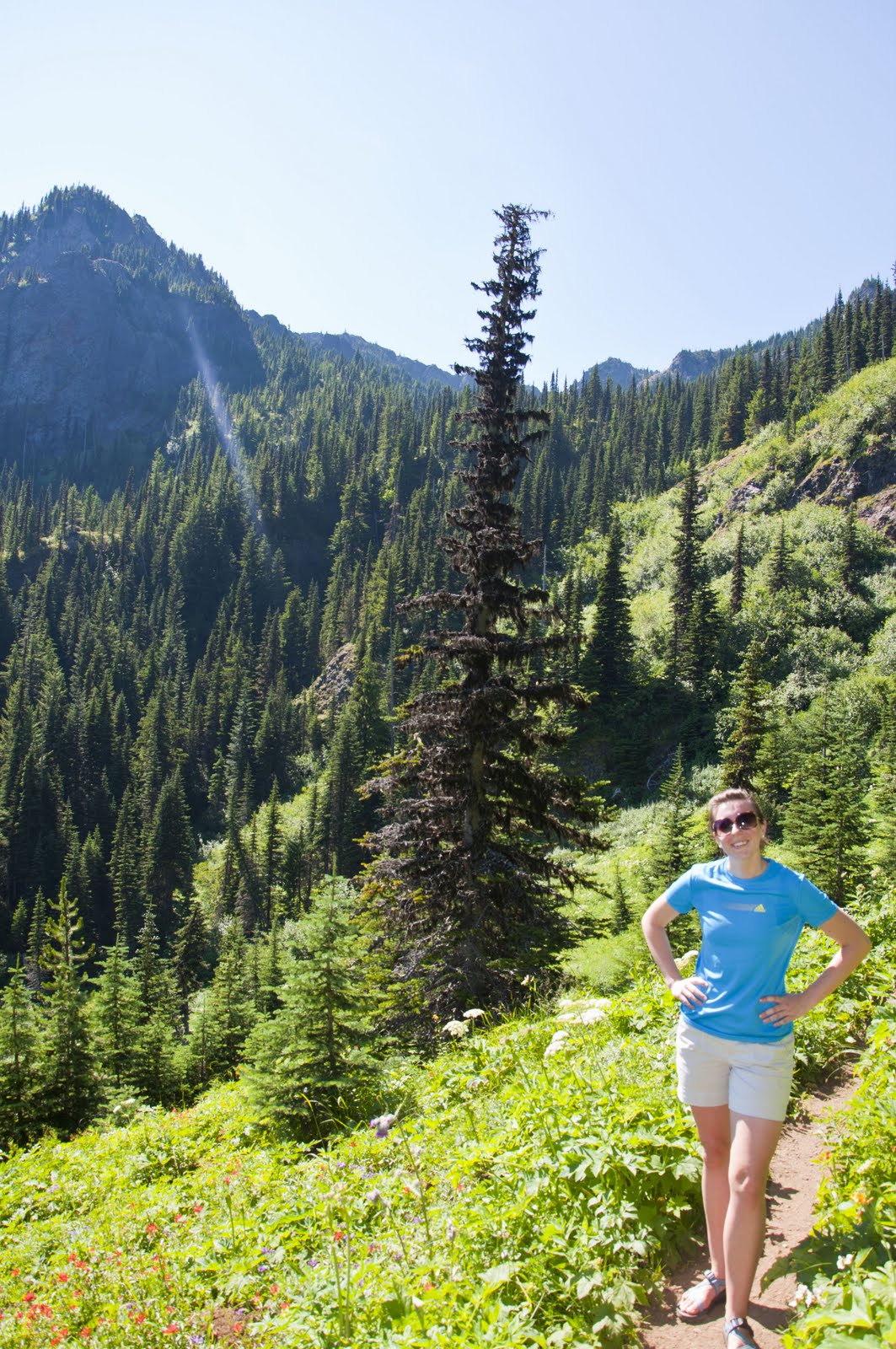 Rootandblossom Hike Review Mount Townsend