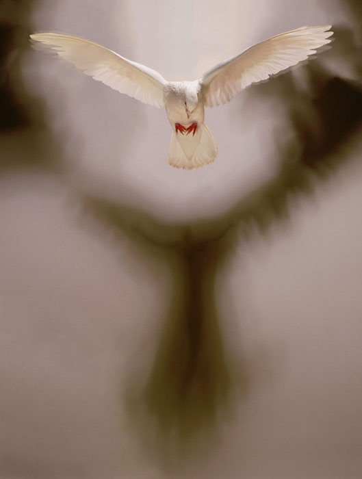 robert gligorov foto manipulações surreais