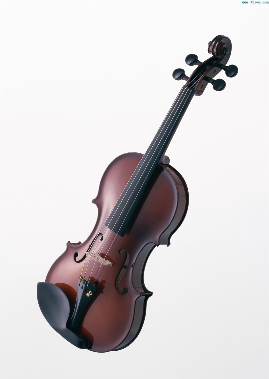 RoseBlog New 4 Axis Violin Engraving Machine