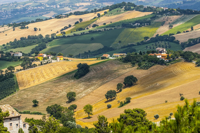 La campagna marchigiana