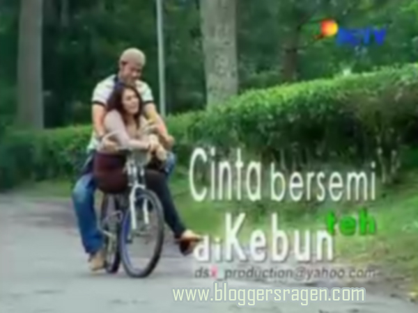 Cinta Bersemi Di Kebun Teh FTV