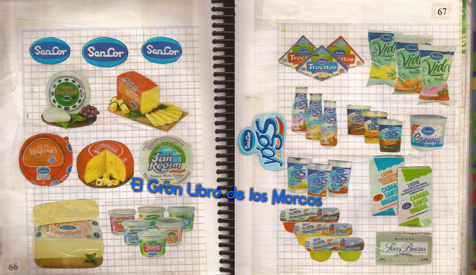 LECHE SAN REGIM leche san regim: