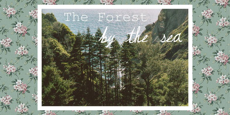 The Forest By The Sea