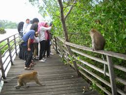 Inilah Tempat Wisata di Jakarta Utara yang Wajib dikunjungi Inilah Tempat Wisata di Jakarta Utara yang Wajib dikunjungi