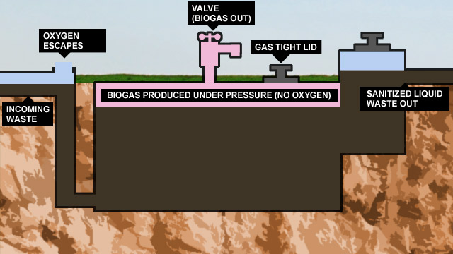 how a septic tank works nz