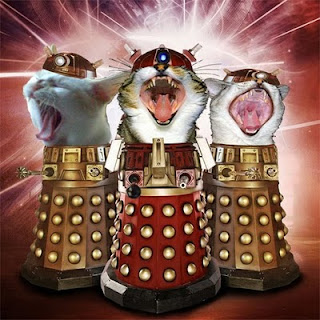 dalek_cats_500x500.jpg