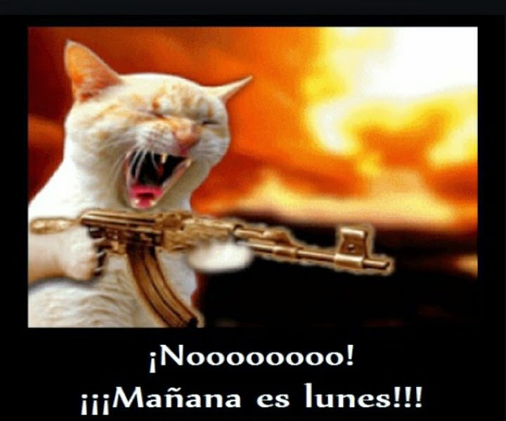 Imagenes chistosas de los lunes para descargar Imagenes chistosas de los lunes para descargar