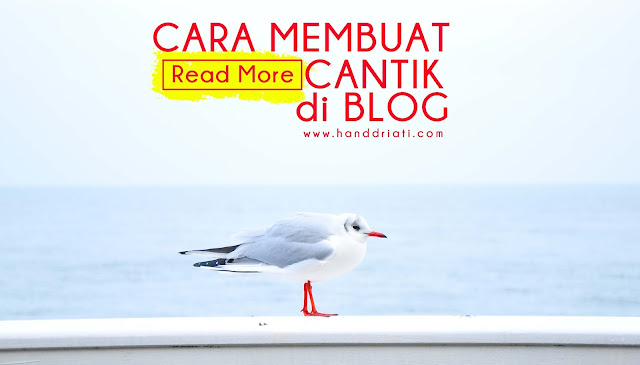 Cara Membuat Read More Cantik di Blog