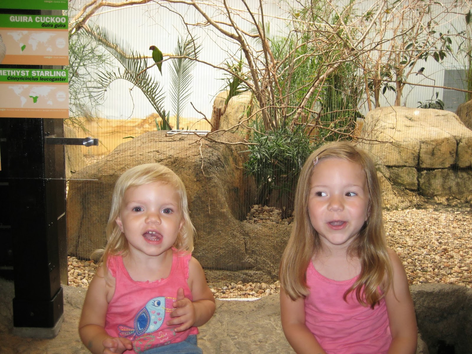 Babyteeth4 Nation! Behind the scenes of FCBK