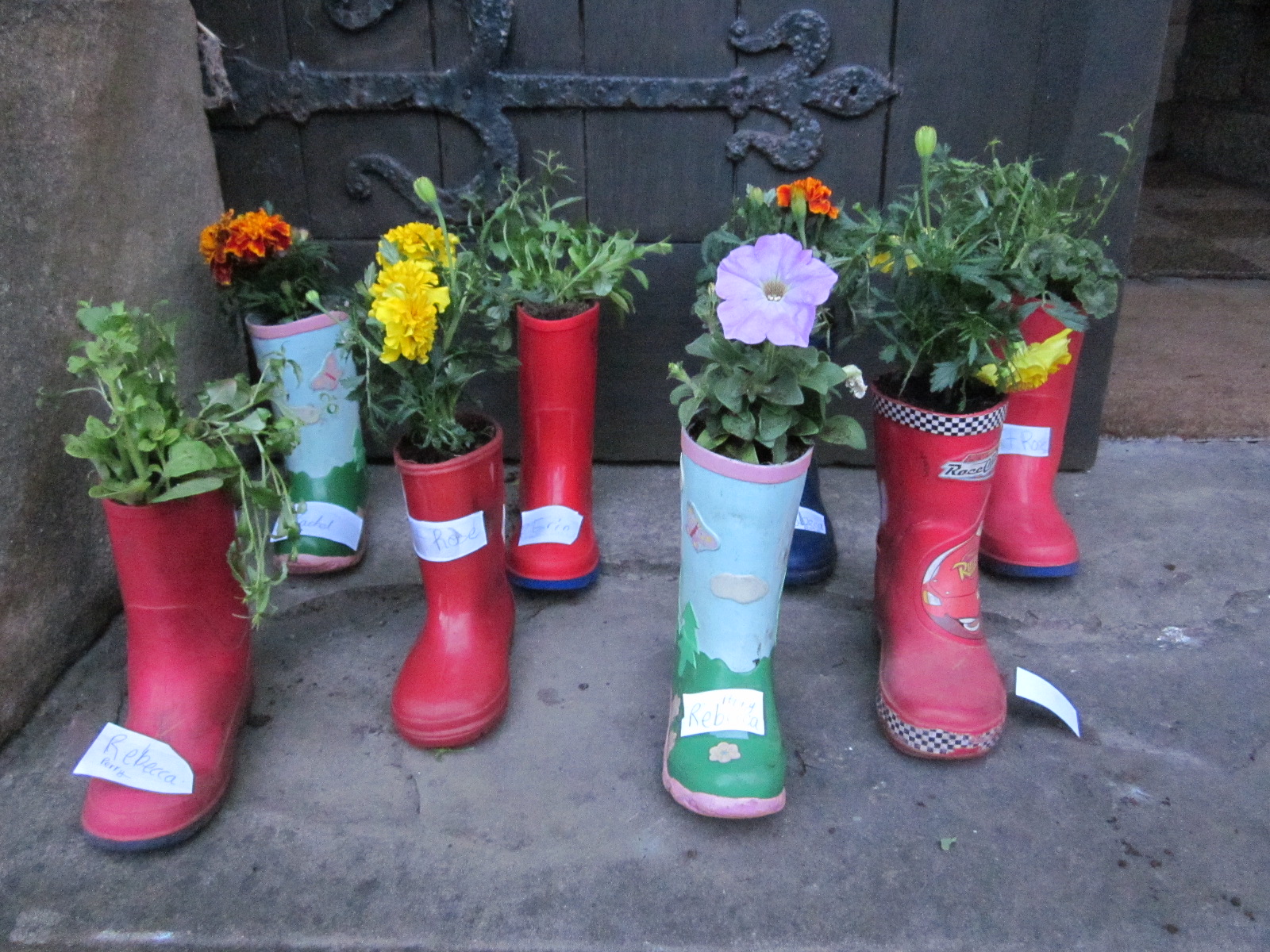 unusual wellies